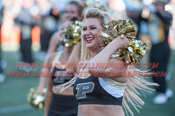 Purdue Boilermakers at Illinois Fighting Illini, Saturday, October 8, 2016 - Marching Illini Photos