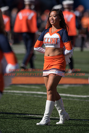 Purdue Boilermakers at Illinois Fighting Illini, Saturday, October 8, 2016 - Marching Illini Photos