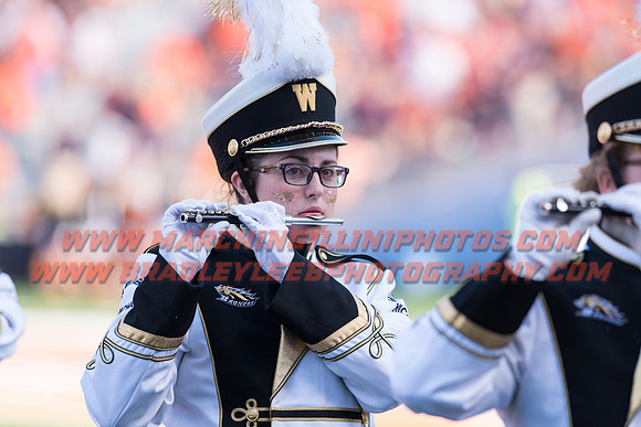 Western Michigan Broncos at Illinois Fighting Illini, Saturday, September 17, 2016 - Marching Illini Photos