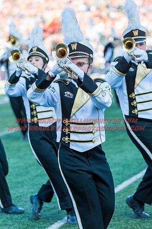 Western Michigan Broncos at Illinois Fighting Illini, Saturday, September 17, 2016 - Marching Illini Photos