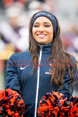 Wisconsin Badgers at Illinois Fighting Illini, Saturday, October 28, 2017 - Marching Illini Photos
