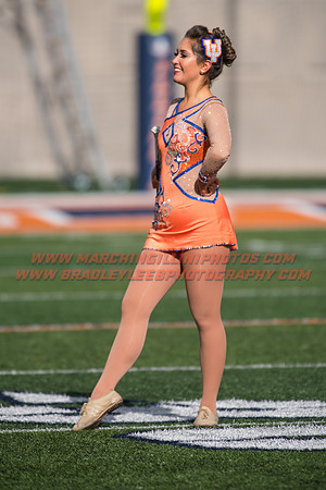 Iowa at Illinois, Saturday, November 19, 2016 - Marching Illini Photos