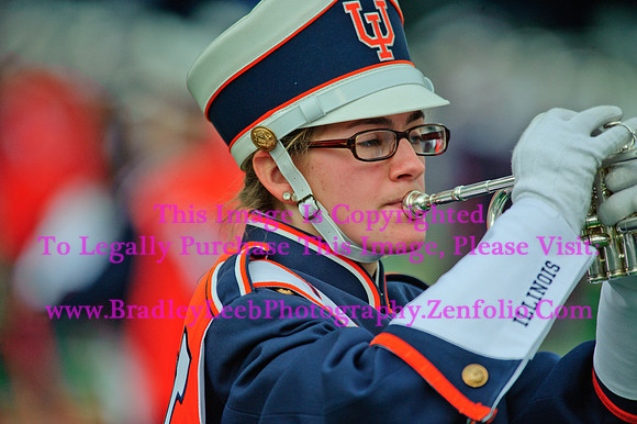 Penn State Nittany Lions at Illinois Fighting Illini, Saturday, November 22, 2014 - Marching Illini Photos