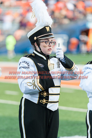 Western Michigan Broncos at Illinois Fighting Illini, Saturday, September 17, 2016 - Marching Illini Photos