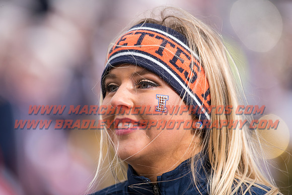Iowa at Illinois, Saturday, November 19, 2016 - Marching Illini Photos
