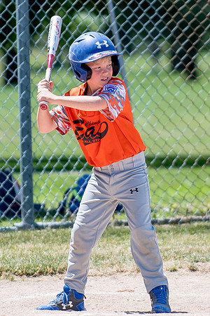 Champaign East Little League All-Stars (Borders)June 25, 2017, www.BradleyLeebPhotography.com
