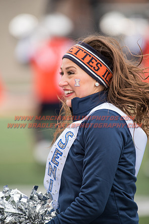 Iowa at Illinois, Saturday, November 19, 2016 - Marching Illini Photos