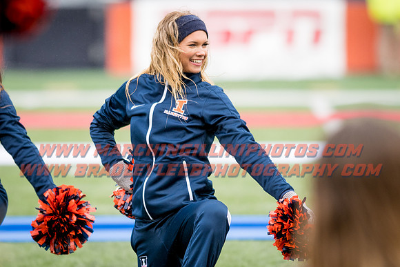 Wisconsin Badgers at Illinois Fighting Illini, Saturday, October 28, 2017 - Marching Illini Photos