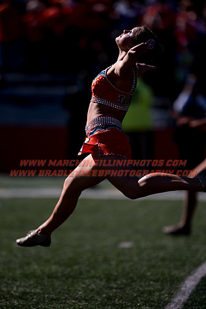 Purdue Boilermakers at Illinois Fighting Illini, Saturday, October 8, 2016 - Marching Illini Photos