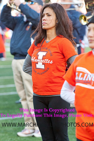 Michigan State Spartans at Illinois Fighting Illini, Saturday, October 26, 2013 - Marching Illini Photos