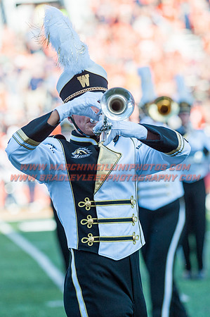 Western Michigan Broncos at Illinois Fighting Illini, Saturday, September 17, 2016 - Marching Illini Photos