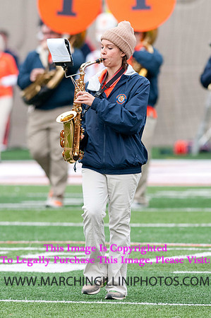 Michigan State Spartans at Illinois Fighting Illini, Saturday, October 26, 2013 - Marching Illini Photos