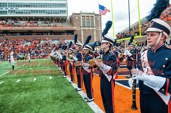Wisconsin at Illinois, Saturday, Oct. 24, 2015 - Marching Illini Photos