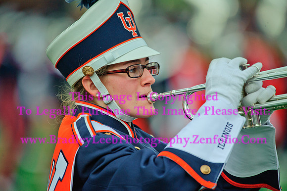 Penn State Nittany Lions at Illinois Fighting Illini, Saturday, November 22, 2014 - Marching Illini Photos