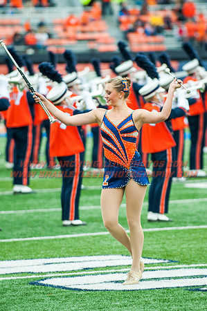 Wisconsin at Illinois, Saturday, Oct. 24, 2015 - Marching Illini Photos