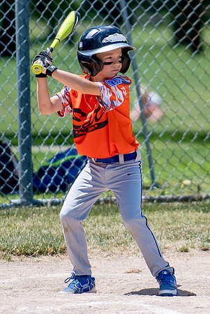 Champaign East Little League All-Stars (Borders)June 25, 2017, www.BradleyLeebPhotography.com