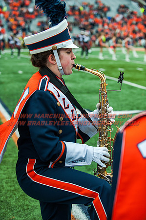 Wisconsin at Illinois, Saturday, Oct. 24, 2015 - Marching Illini Photos