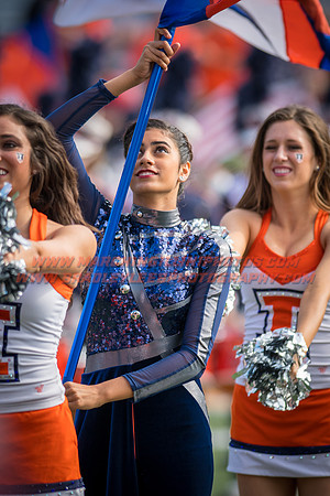 Rutgers Scarlett Knights at Illinois Fighting Illini, Saturday, October 14, 2017 - Marching Illini Photos