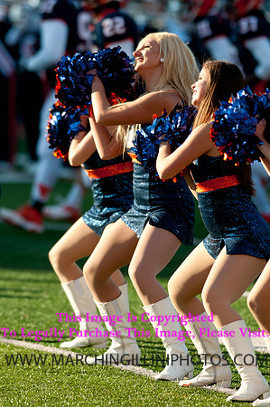 Northwestern Wildcats at Illinois Fighting Illini, Saturday, November 30, 2013 - Marching Illini Photos