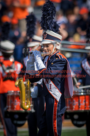 Rutgers Scarlett Knights at Illinois Fighting Illini, Saturday, October 14, 2017 - Marching Illini Photos
