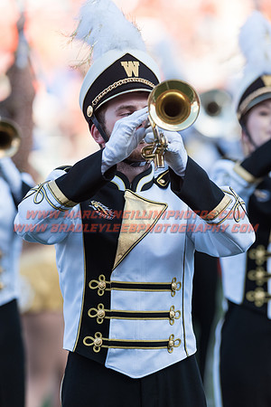 Western Michigan Broncos at Illinois Fighting Illini, Saturday, September 17, 2016 - Marching Illini Photos