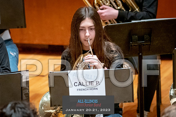 2023 All-Illinois Junior BandJanuary 20-21, 2023