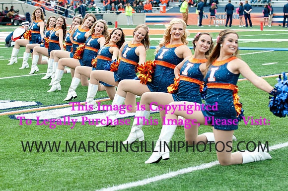 Michigan State Spartans at Illinois Fighting Illini, Saturday, October 26, 2013 - Marching Illini Photos