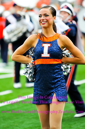 NCAA Football: Western Michigan at Illinois