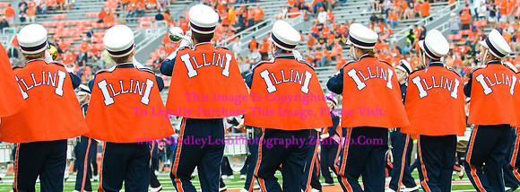 NCAA Football: Western Michigan at Illinois
