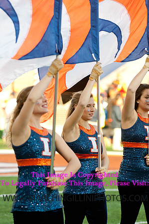 Northwestern Wildcats at Illinois Fighting Illini, Saturday, November 30, 2013 - Marching Illini Photos