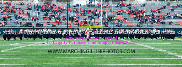 Ohio State Buckeyes at Illinois Fighting Illini, Saturday, November 16, 2013 - Marching Illini Photos