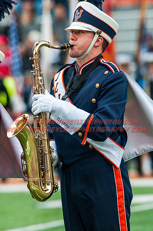 Wisconsin at Illinois, Saturday, Oct. 24, 2015 - Marching Illini Photos