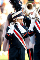 Northwestern Wildcats at Illinois Fighting Illini, Saturday, November 30, 2013 - Marching Illini Photos