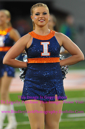 Marching Illini - Louisiana Tech Bulldogs at Illinois Fighting Illini