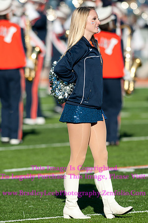 Purdue Boilermakers at Illinois Fighting Illini, Marching Illini, Nov 17, 2012