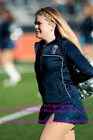 Purdue Boilermakers at Illinois Fighting Illini, Marching Illini, Nov 17, 2012