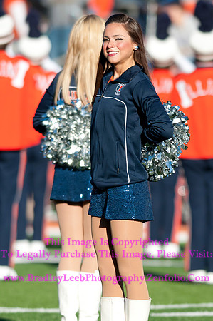 Purdue Boilermakers at Illinois Fighting Illini, Marching Illini, Nov 17, 2012