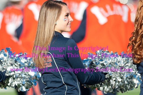 Purdue Boilermakers at Illinois Fighting Illini, Marching Illini, Nov 17, 2012