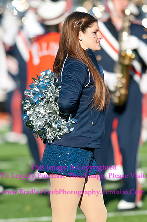 Purdue Boilermakers at Illinois Fighting Illini, Marching Illini, Nov 17, 2012