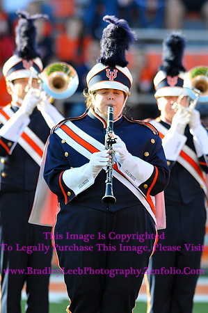 Minnesota Golden Gophers at Illinois Fighting Illini, Marching Illini, Nov 10, 2012