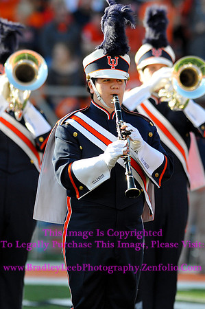 Minnesota Golden Gophers at Illinois Fighting Illini, Marching Illini, Nov 10, 2012