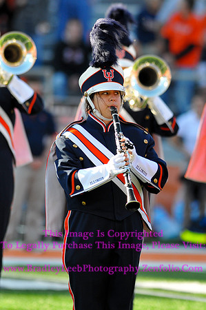 Minnesota Golden Gophers at Illinois Fighting Illini, Marching Illini, Nov 10, 2012