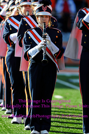 Minnesota Golden Gophers at Illinois Fighting Illini, Marching Illini, Nov 10, 2012