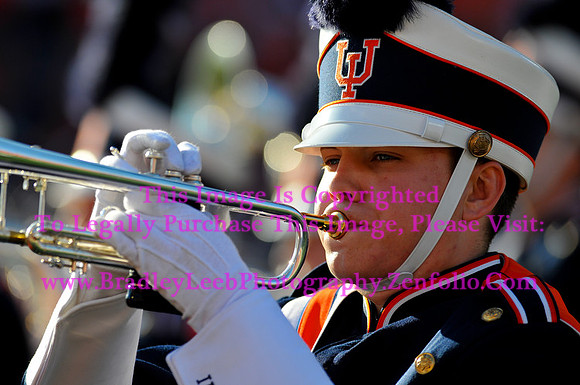 Minnesota Golden Gophers at Illinois Fighting Illini, Marching Illini, Nov 10, 2012