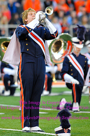 Minnesota Golden Gophers at Illinois Fighting Illini, Marching Illini, Nov 10, 2012