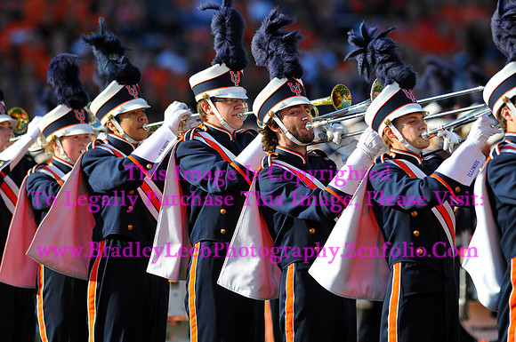 Minnesota Golden Gophers at Illinois Fighting Illini, Marching Illini, Nov 10, 2012