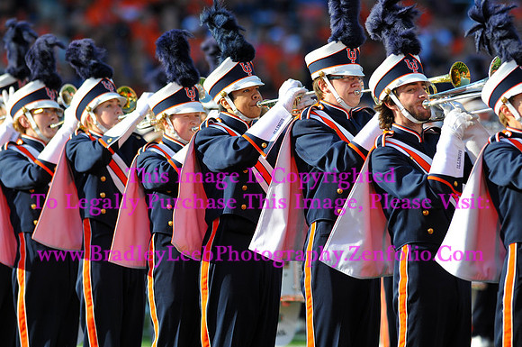 Minnesota Golden Gophers at Illinois Fighting Illini, Marching Illini, Nov 10, 2012