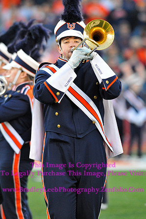 Minnesota Golden Gophers at Illinois Fighting Illini, Marching Illini, Nov 10, 2012