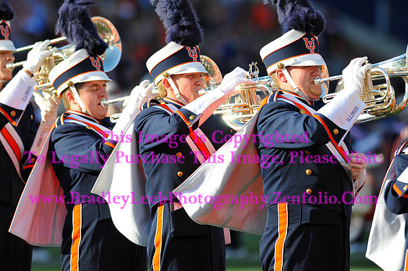 Minnesota Golden Gophers at Illinois Fighting Illini, Marching Illini, Nov 10, 2012
