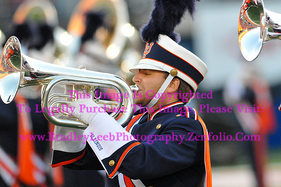Minnesota Golden Gophers at Illinois Fighting Illini, Marching Illini, Nov 10, 2012